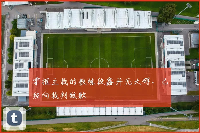 掌掴主裁的教练段鑫并无大碍，已经向裁判致歉