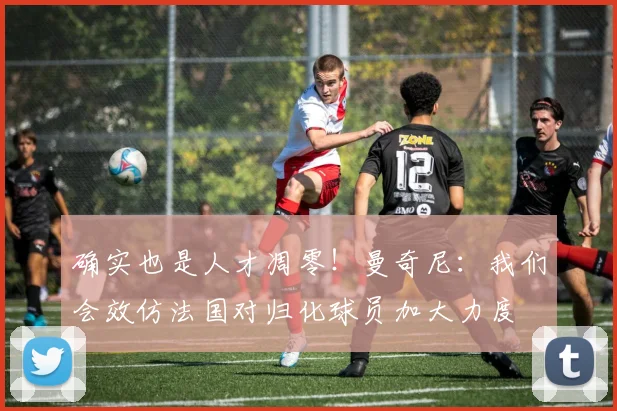 确实也是人才凋零！曼奇尼：我们会效仿法国对归化球员加大力度