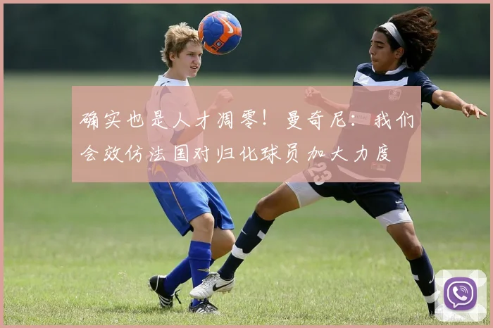 确实也是人才凋零！曼奇尼：我们会效仿法国对归化球员加大力度