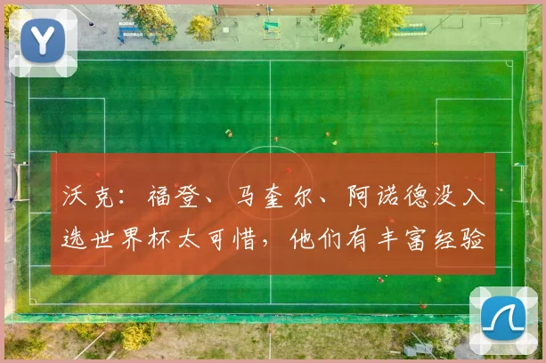 沃克：福登、马奎尔、阿诺德没入选世界杯太可惜，他们有丰富经验